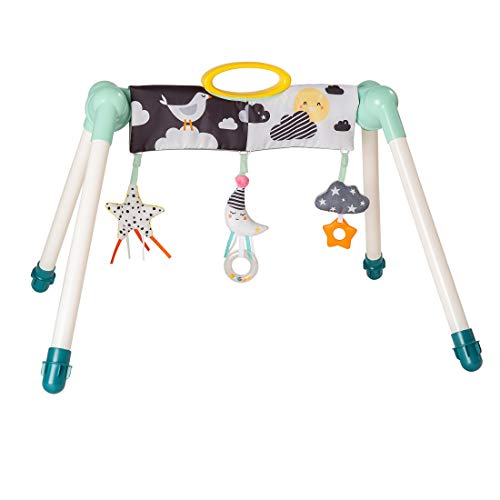 Taf Toys 12525 Spielbrücke Minimond, mehrfarbig, 1690 g