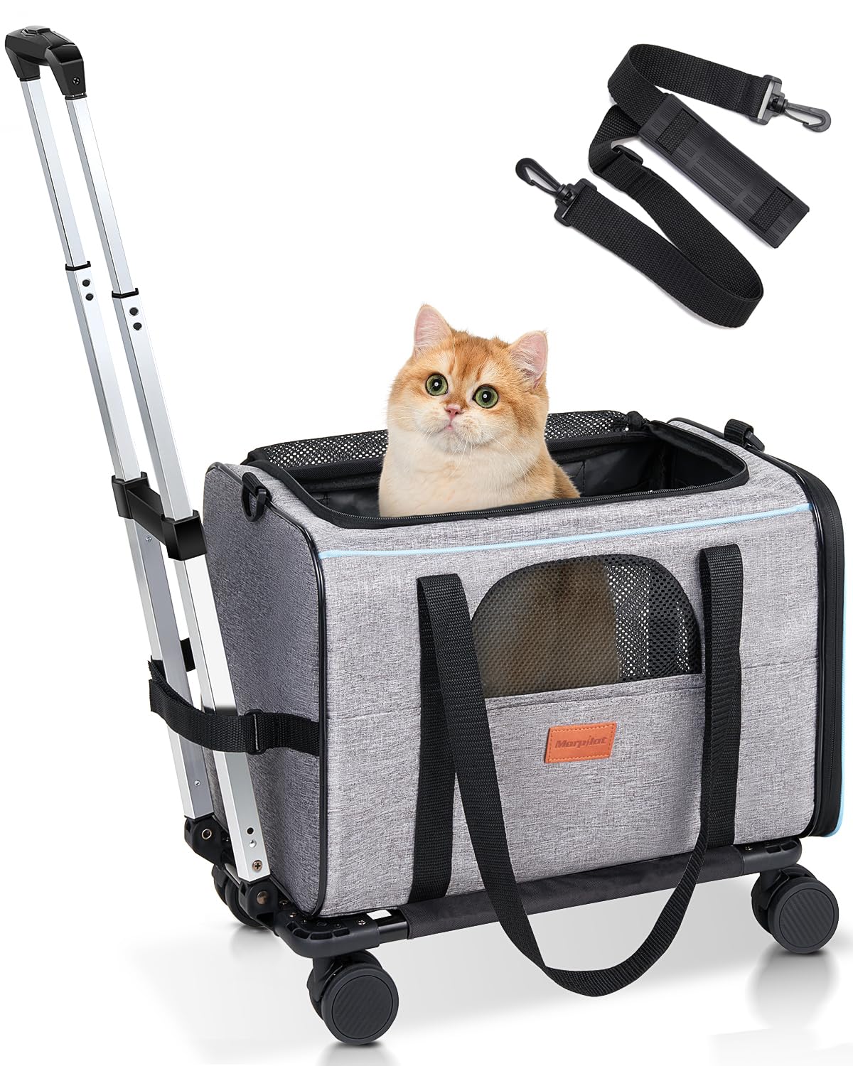 Transporttasche für Katze mit Rollen, Faltbarer Katzentransportbox Hundetragetasche Transportbox Hund mit Trolley für kleine Hunde und Katzen