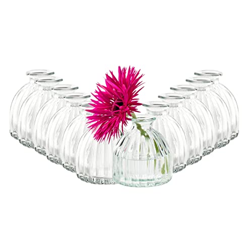 12 x Vasen in vielen Farben und Formen Dekovase - Glasvase - Väschen - Tischvasen - Blumenvasen (Silia H 8,5 - Ø 8cm)