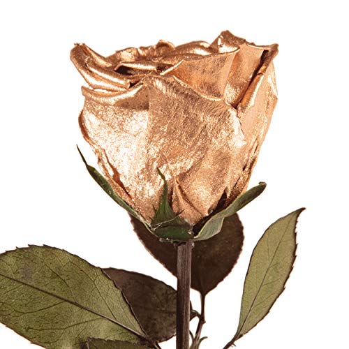 Goldrose Infinity Rose Gold konservierte haltbar 3 Jahre (Gold)