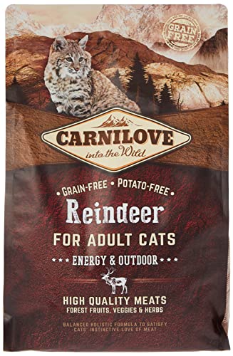 Carnilove 512256 Trockenfutter für Katzen Erwachsene Reno 2 kg Trockenfutter für Katzen (Adulto, Reno, 2 kg, Allrad)