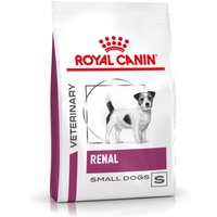 ROYAL CANIN Renal Small Dog - 3,5 kg