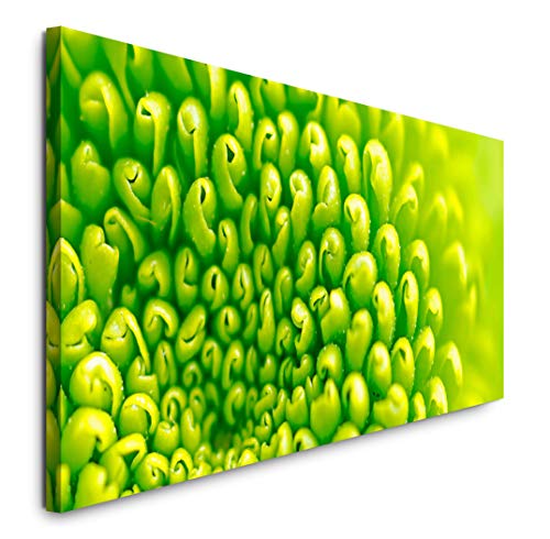 Paul Sinus Art GmbH grüne Blumen 120x 50cm Panorama Leinwand Bild XXL Format Wandbilder Wohnzimmer Wohnung Deko Kunstdrucke