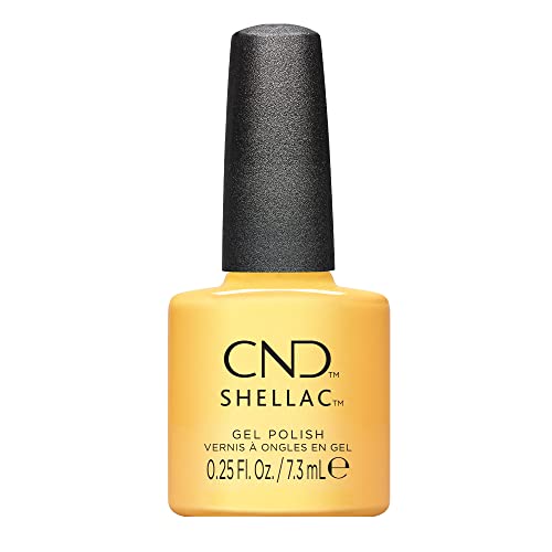Shellac Sundial It Up S # 445