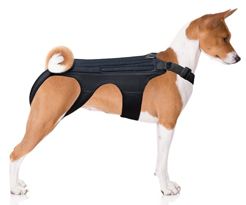 NeoAlly Hunde-Rückenbandage für Hunde, Arthritis, IVDD, Wirbelsäulen-chirurgische Genesung und Prävention von Rückenerkrankungen (extra groß)