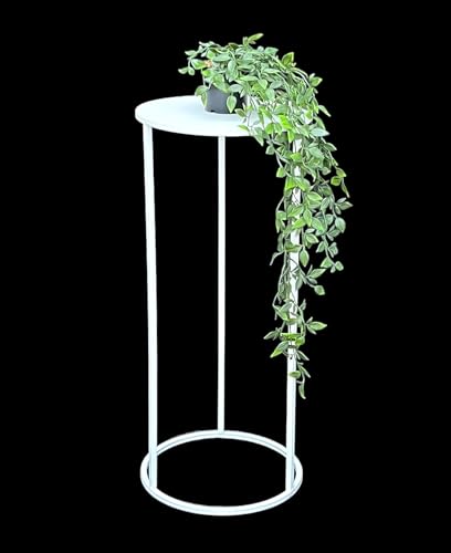 DanDiBo Blumenhocker Metall Weiß Rund Blumenständer Beistelltisch 96483 Blumensäule Modern Pflanzenständer Pflanzenhocker (70 cm)