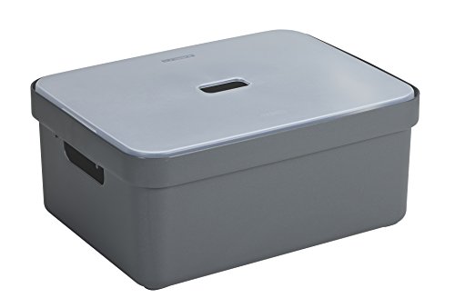 Sunware Sigma Flex Box 24 Liter mit Deckel - anthrazit/transparent