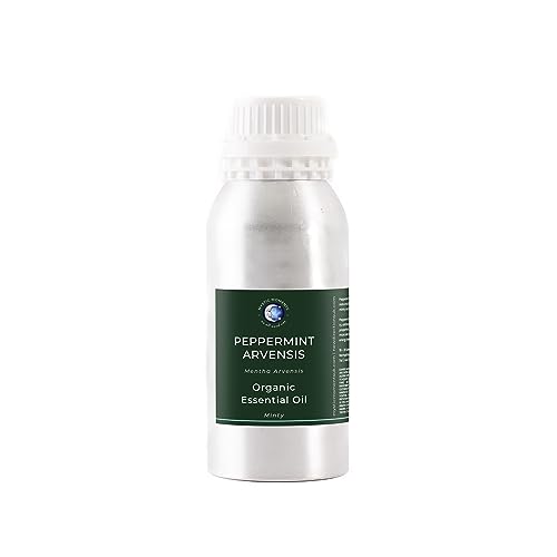 Mystic Moments | Peppermint Arvensis Bio ätherisches Öl – 500 g – 100% Pure