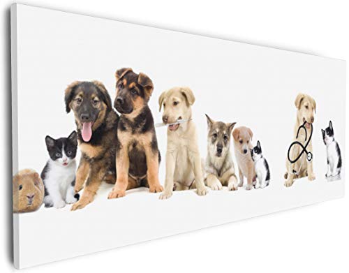 Wallario Leinwandbild Süße Haustiere - Katzen Hunde Hamster Küken I - Wandbild 30 x 75 cm: Kunstdruck | Brillante lichtechte Farben | hochauflösend | verzugsfrei