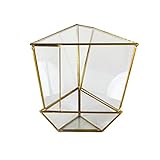 Einzigartiger moderner Metallglas unregelmäßige geometrische für Zuhause und Hochzeit Innen- und Außendekoration Pflanzenhalter Display Container (Farbe: Messing, Größe: 18 x 15 x 16,5 cm)