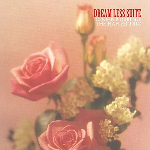 Dream Less Suite (2lp) [Vinyl LP]