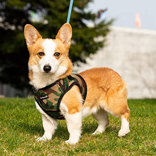 Mr. Peanut's PupTrek Hundegeschirr für kleine Hunde/Katzen, weiches Netzgewebe, Größe L, Camo