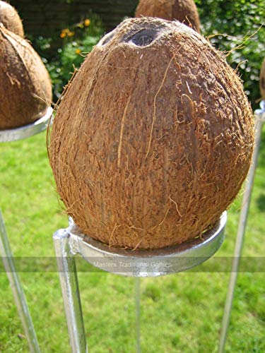 Masters Traditional Games Single Coconut Shy Post