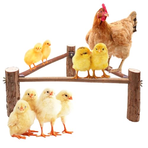 Chicken Barsch für Küken, Holz Küken Spielzeug, Küken Stand Training Barsch Spielzeug, Sitzstange für Hühnerställe und Bruter, Holz Küken Spielzeug Sitzstange für Hühnerstall Junge Vögel