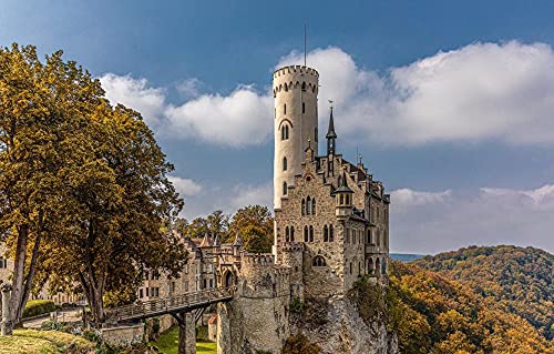 YANCONG Holz Puzzle 1000 Teile, Deutschland Schloss Lichtenstein, Herbstwald Klassisches 3D Puzzle