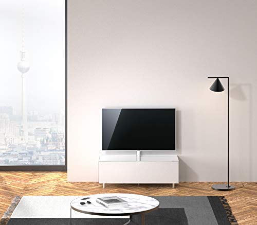 SPECTRAL® Just-Racks TV-Lowboard JRL1100T mit Klappe inkl. TV-Halterung, Breite 111 cm, Snow…