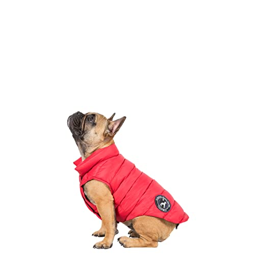 Dogby Down Dog Coat - POSTBOX RED X M