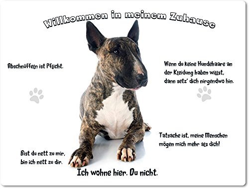 Merchandise for Fans Blechschild/Warnschild/Türschild - Aluminium - 30x40cm - - Willkommen in Meinem Zuhause - Motiv: Bullterrier Porträt - 04