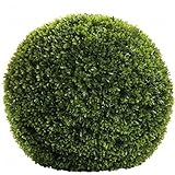 Fink BUCHSKUGEL/Buxus,grün/D.50cm