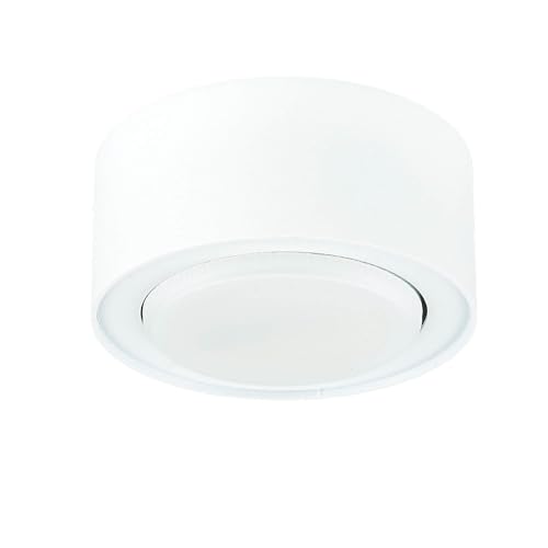 Licht-Erlebnisse Aufbaustrahler Metall Weiß für Wohnzimmer Schlafzimmer GX53 max. 12 W Zeitlos blendarm kleine Deckenleuchte Spot Flur FLEA