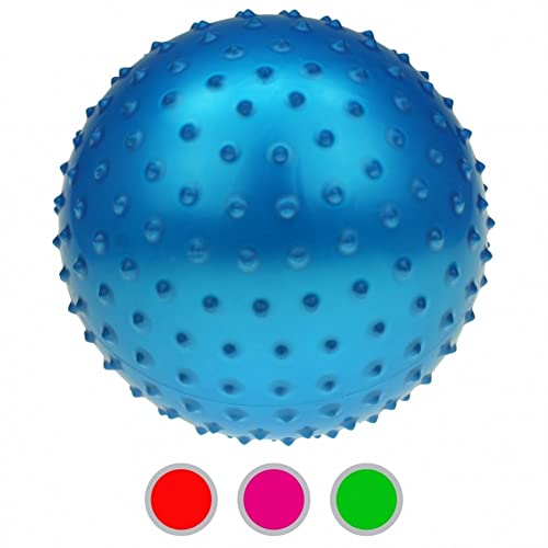 Diverse 48 x Noppenbälle Noppenball Ball 20 cm Massagebälle Igelball mit Pumpe