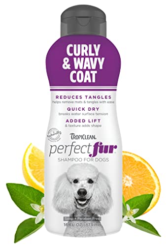 Tropiclean PerfectFur Curly & Wavy Coat Shampoo for Dogs, 16oz - Made in USA - Detangling & Dematting Formula for Thick, Wiry Breeds Like Poodles - Helps Loosen Mats & Tangles - Naturally Derived