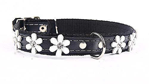 Capadi K0291 Hundehalsband verziert mit Blumen und Christallen aus echtem strapazierfähiges Leder weich unterlegt, Schwarz, Breite 30 mm, Länge 65 cm