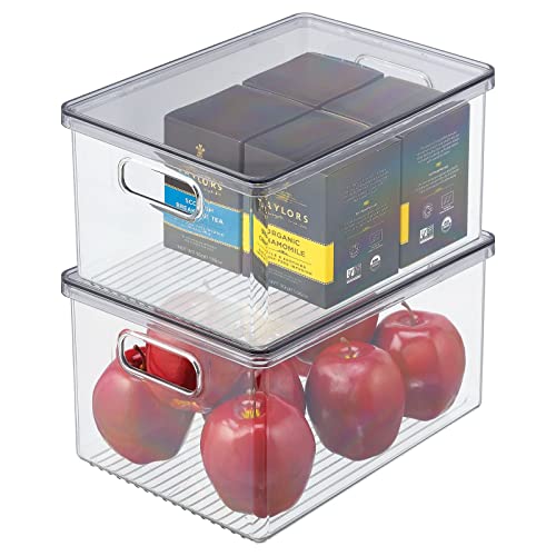 mDesign 2er-Set Kühlschrankbox – Kühlschrank Vorratsdose mit Griffen und abnehmbarem Deckel – lebensmittelechte Aufbewahrungsbox aus Kunststoff für Küche und Speisekammer – durchsichtig/grau