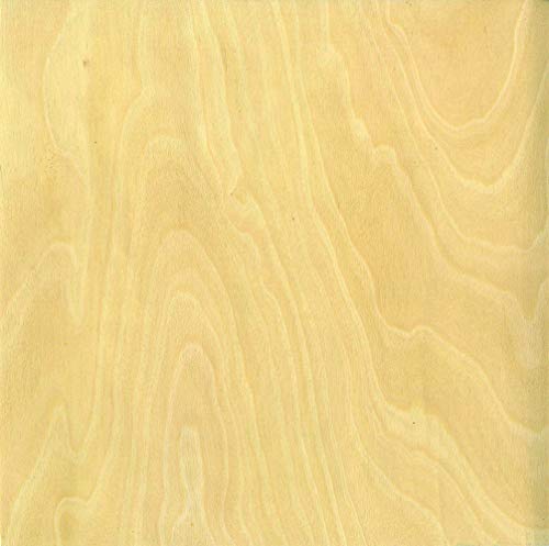 Artemio Set 10St Scrapbooking, Holz, klar, 30,5 x 0,5 x 30,5 cm