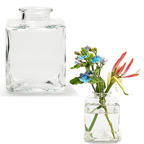 12 x Glasflaschen in schicker Form 7 x 7 x 9 cm - Kleine Vasen für die Tischdeko - Blumenvasen - Glasvasen - Mini Dekoflaschen - Kleine Deko Vasen Vintage