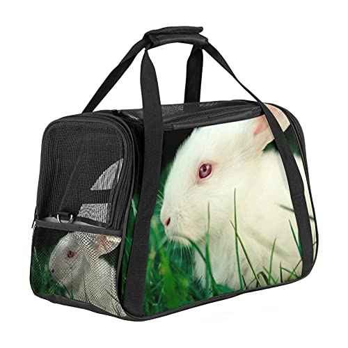 Xingruyun Katze Transporttasche weißer Hase Hund Transporttasche Faltbare Tragetasche für Haustiere Hundetragetasche Katzentragetasche 43x26x30 cm