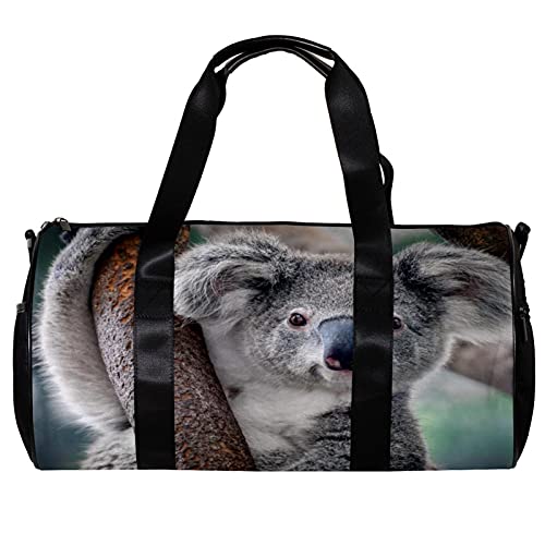 Süßer Koala Faltbare Reisetasche Tragetasche Sporttaschen für Männer Frauen Sportler 17.7x9x9in