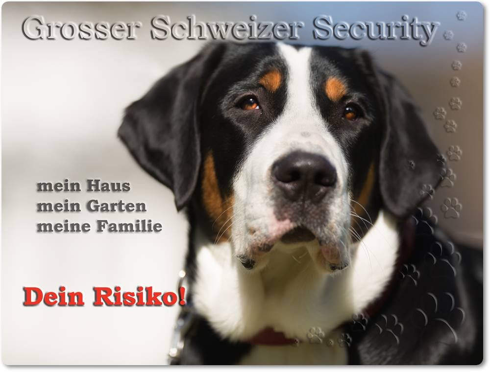 Merchandise for Fans Warnschild - Schild aus Aluminium 30x40cm - Motiv: Grosser Schweizer Sennenhund Security (01)