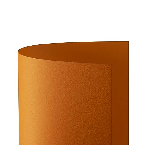 Favini a33e012 Prism 220 50 x 70 cm, 20 Stück, orange