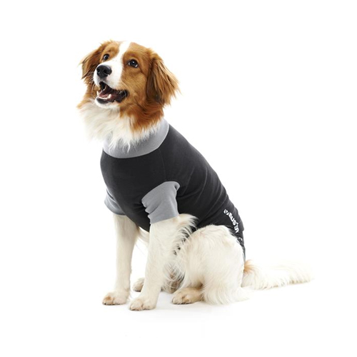 WDT Buster Body Suit für Hunde, Option:Größe XL