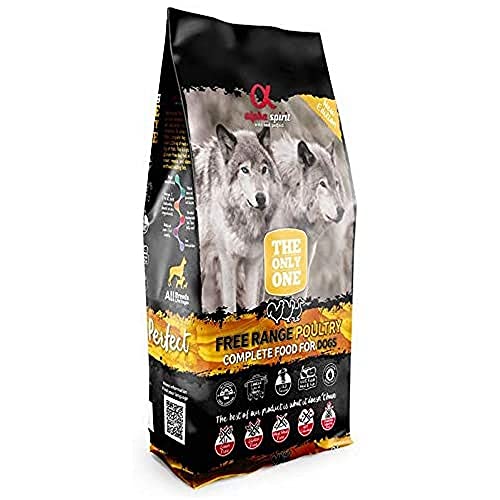 Alpha The Only One Canine Adult Geflügel, 12 kg, Schwarz, Medium