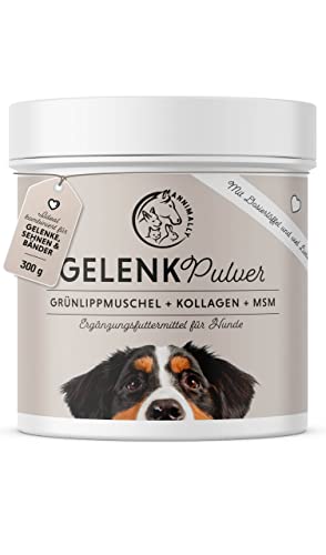Annimally Gelenke Pulver für Hunde 300g mit MSM, Grünlippmuschel und Kollagen - Gelenkpulver mit Collagen für den Hund Alternative zu Tabletten