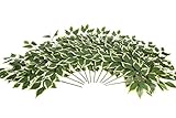 Evergreens künstlicher (Deko) Laubzweig 12 Stück (Ficus grün-weiß)
