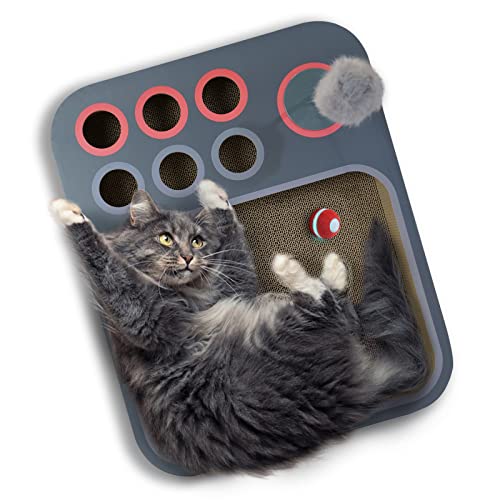 WERPOWER meinno Cheerble Katzenball, Brettspiel Halten Sie Ihre Katze glücklich, ein neues 3-in-1-Brettspiel für verspielte Katzen, All-in-One interaktiv.
