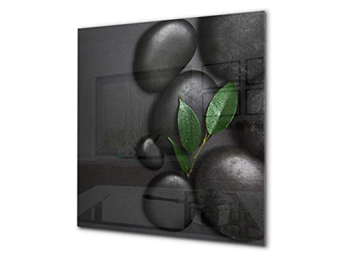 Einzigartiges Glas-Küchenpanel - Hartglas-Rückwand - Kunstdesign Glasaufkantung BS02 Serie Stein: Leaf On The Stone 2