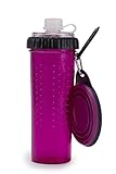 Dexas PW4504322405 Snack-Duo with Companion Cup, Fuchsia, pink, 1 stück
