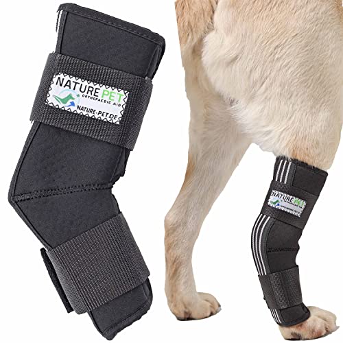 NATURE PET Sprunggelenk Schutz Bandage für Hunde/Tarsalgelenk Bandage für Hunde (4)