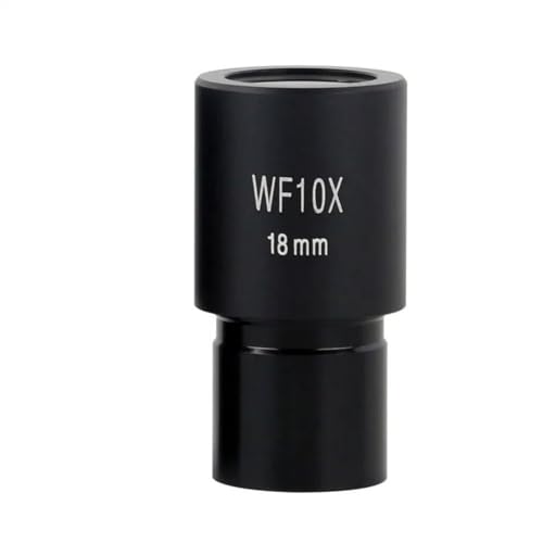 Mikroskop-Zubehör-Kit 1 stücke Biologische Mikroskop Okulare WF10X/WF16X Weitfeld Weitwinkel Objektiv 23,2mm Durchmesser Mit Lineal Mikroskopische Objektträger (Size : WF10x-23.2mm)