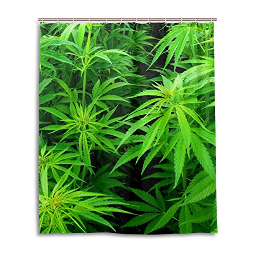 alaza Marihuana-Hanf-Blätter Duschvorhang 60 x 72 Inch, schimmelresistent und wasserdicht Polyester Dekoration Badezimmer-Vorhang