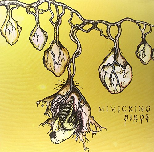 Mimicking Birds [Vinyl LP]
