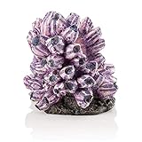 biOrb 48359 Rankentraube Ornament – naturnahe Aquariumdeko in Form von lila Polypen auf grauem Felsen | zur Gestaltung von Süßwasseraquarien und Meerwasseraquarien