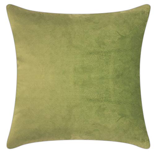 PAD - Elegance - Samt Kissen, Zierkissen, Kissenhülle - 40 x 40 cm - Farbe: Hellgrün - ohne Füllung