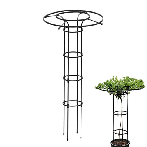 Vertikaler Metall Garten Rankgitter Turm, Gartenpflanzen Regenschirm Rankhilfe Gartenarbeit Blumen Metallständer für Tomaten, Erbsen & Andere Pflanzen