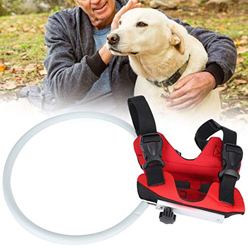Zerodis Blind Pet Anti-Kollisionsring, Pet Anti-Kollisionsring Verstellbarer Pet Safe Halo-Gurt für Blinde Hunde Katarakt-Schutzkreis für kleine sehbehinderte Hunde im Freien(MYFZ02)