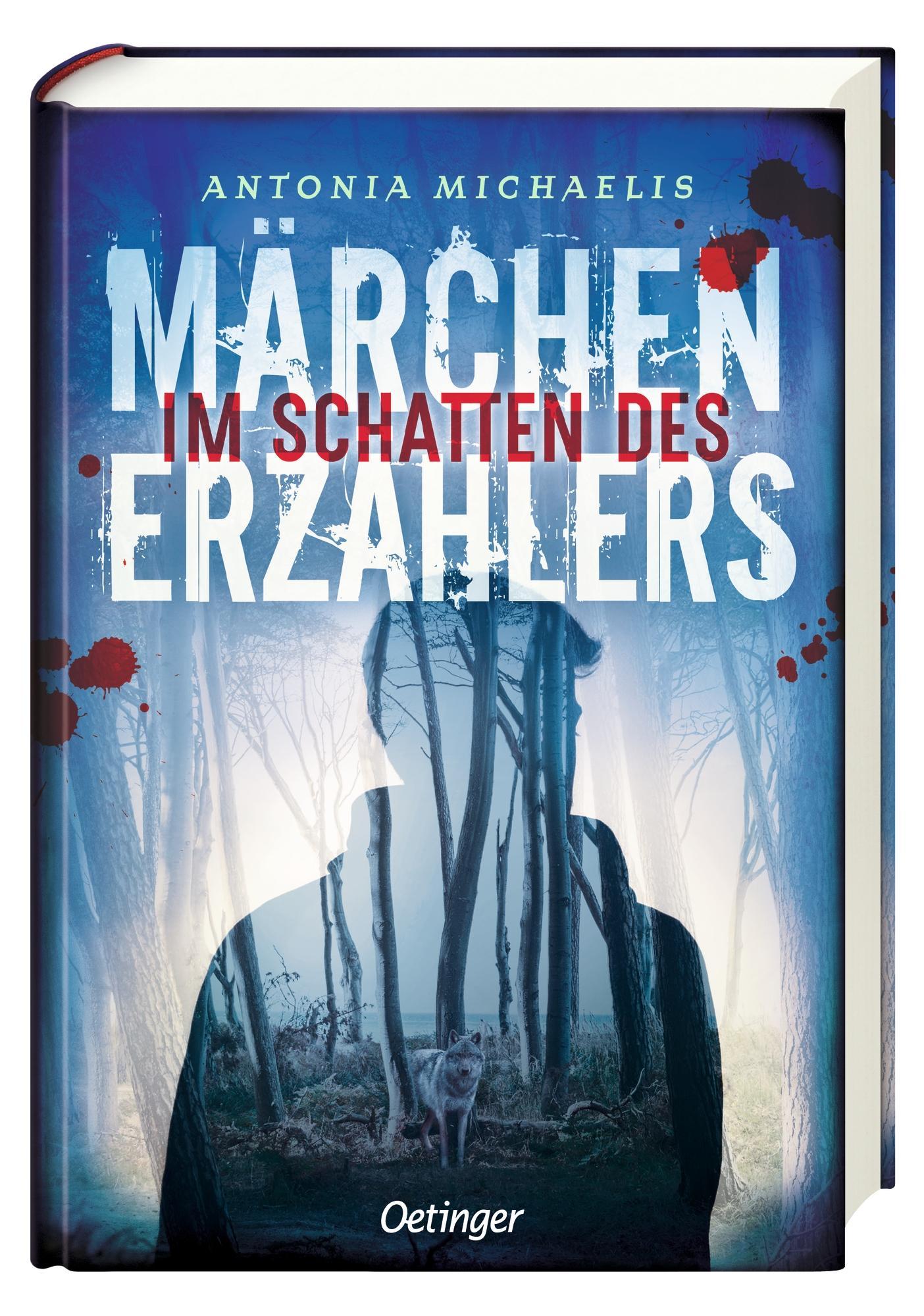 Im Schatten des Märchenerzählers / Der Märchenerzähler Bd.2 2
